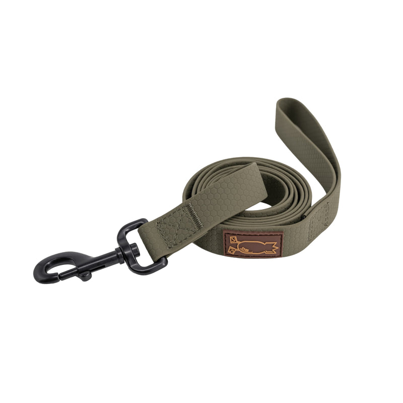 Dog Leash