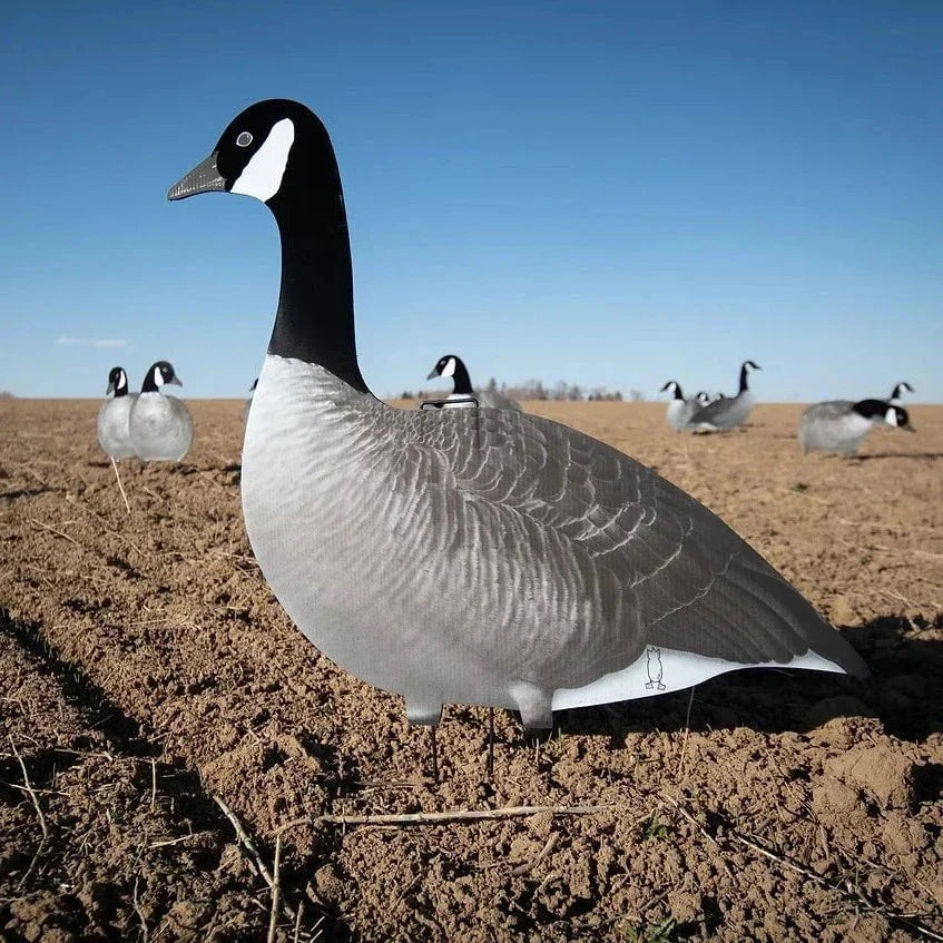 Dive Bomb Industries Canada Goose Silhouettes - Thumbnail 2