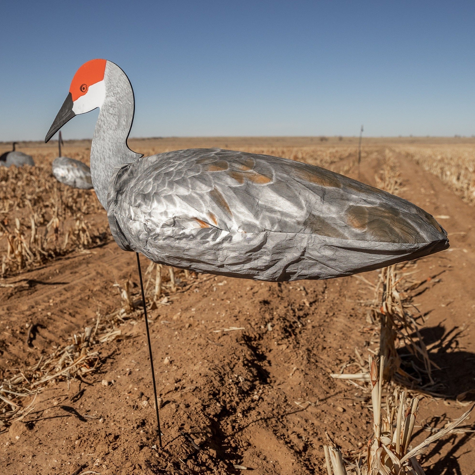 Sandhill Crane Socks socks