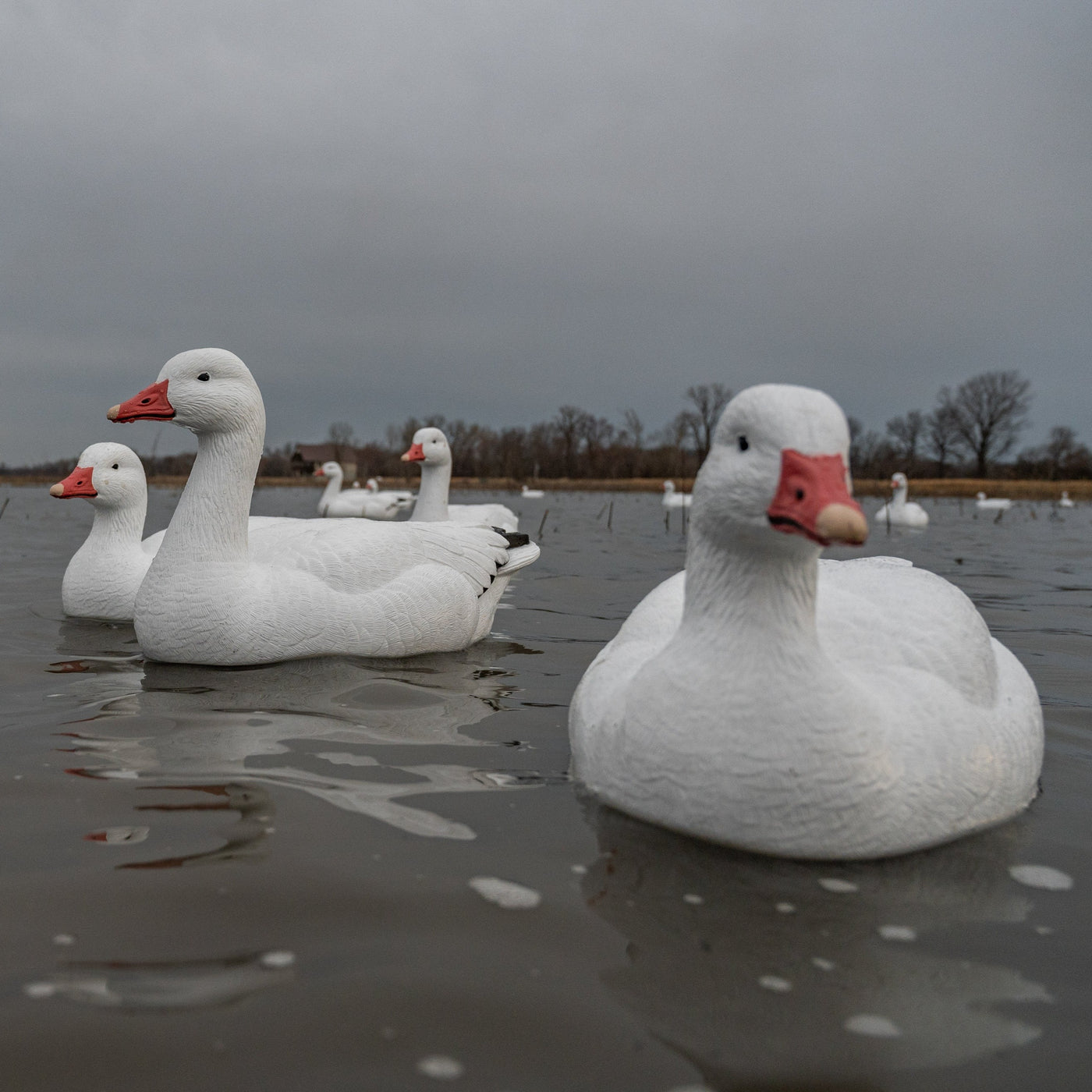 F1 Snow Goose Floaters