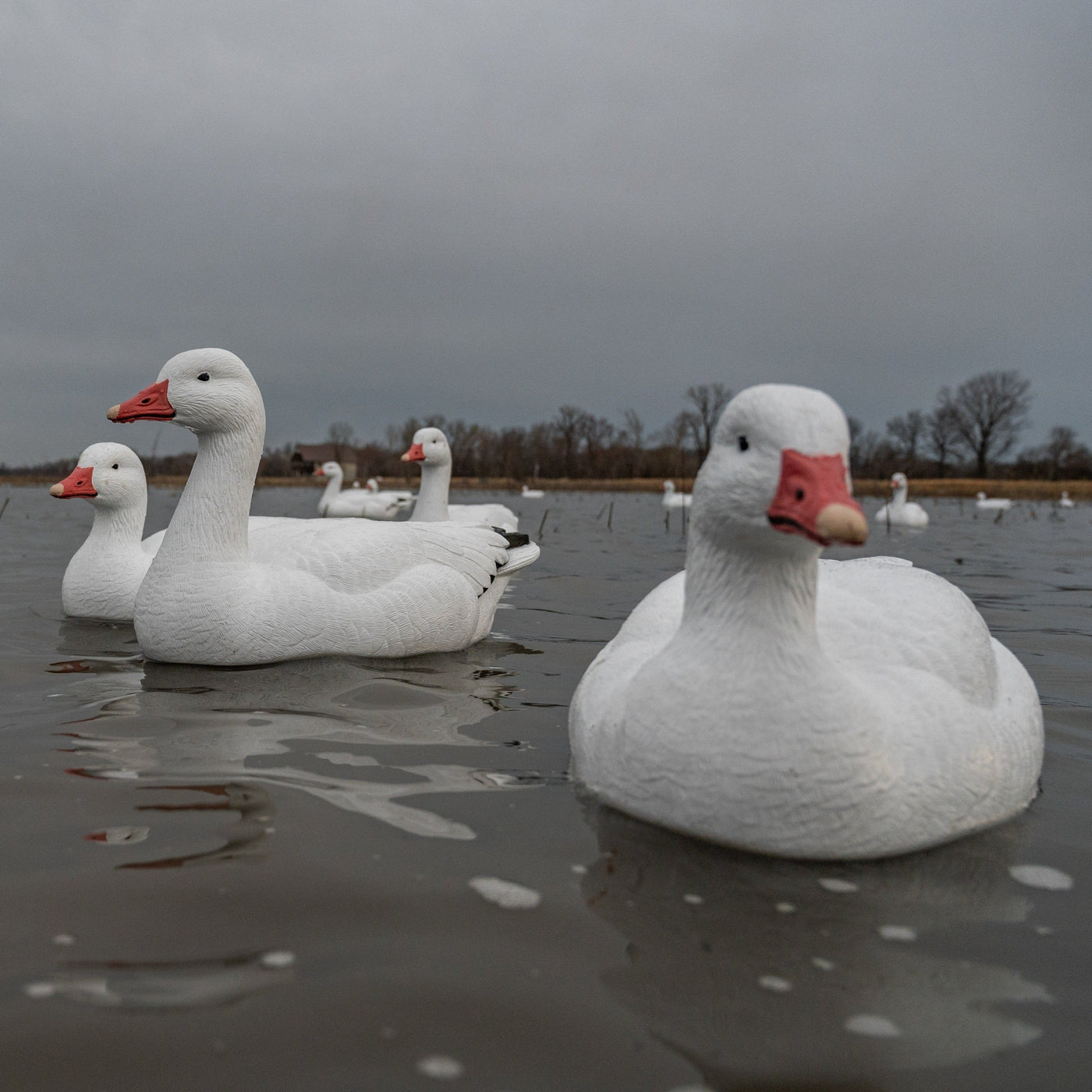 F1 Snow Goose Floaters - Snow Goose Decoy | Dive Bomb Industries