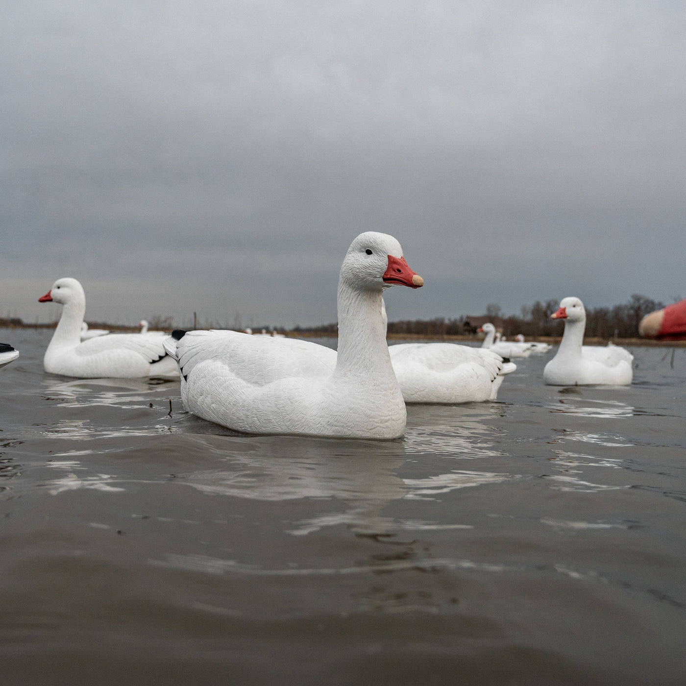 F1 Snow Goose Floaters - Snow Goose Decoy | Dive Bomb Industries