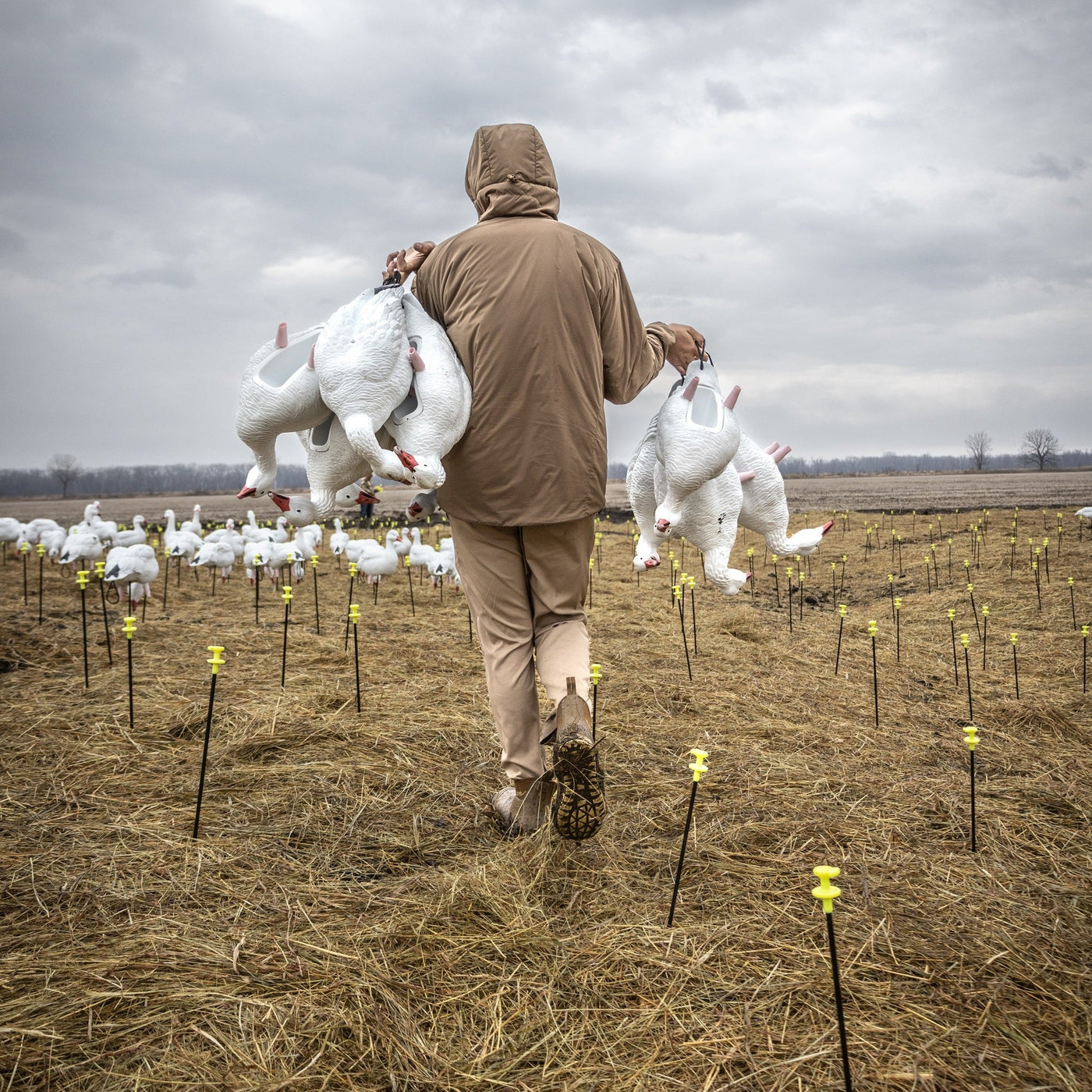 FB Snow Goose Full Bodies