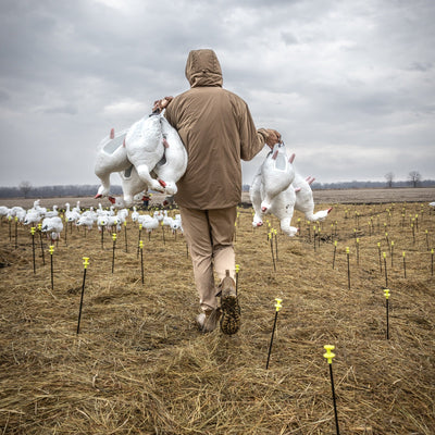 FB Snow Goose Full Bodies