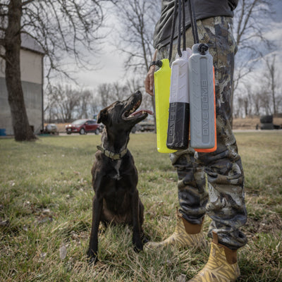 Dog Bumpers