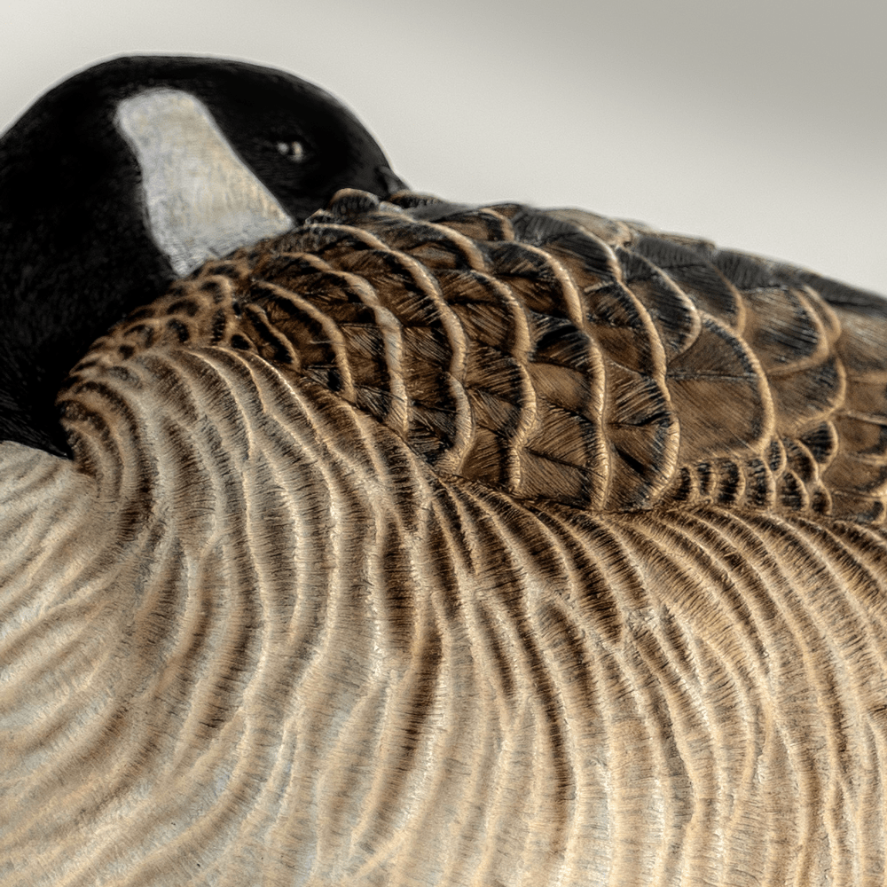 Z1 Flocked Sleeper Canada Shells Goose Decoys Dive Bomb Industries