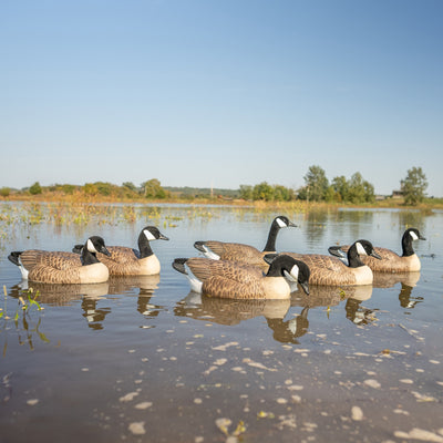 F1 Flocked Canada Floaters