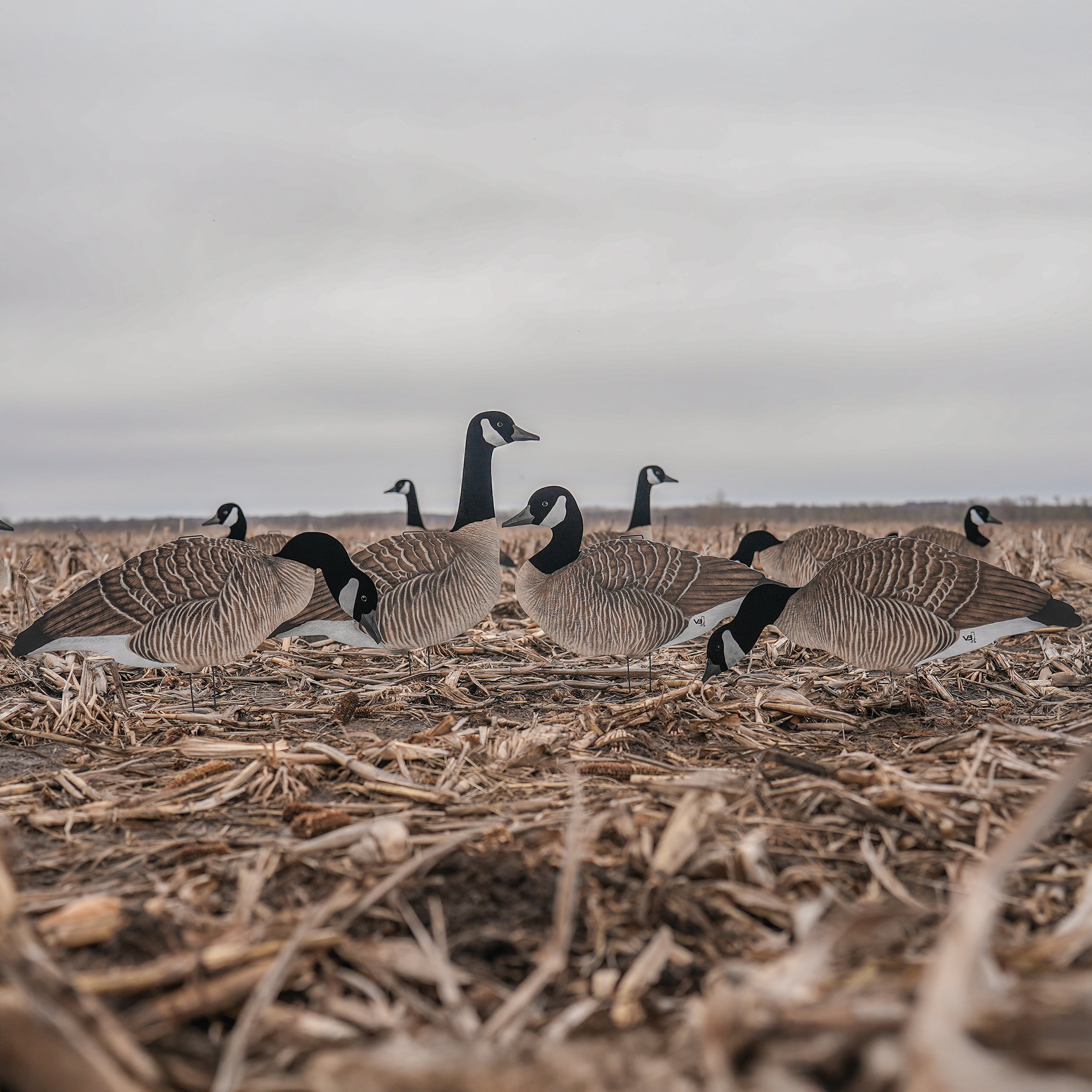 V3FF Fully Flocked Canada Silhouettes silhouettes