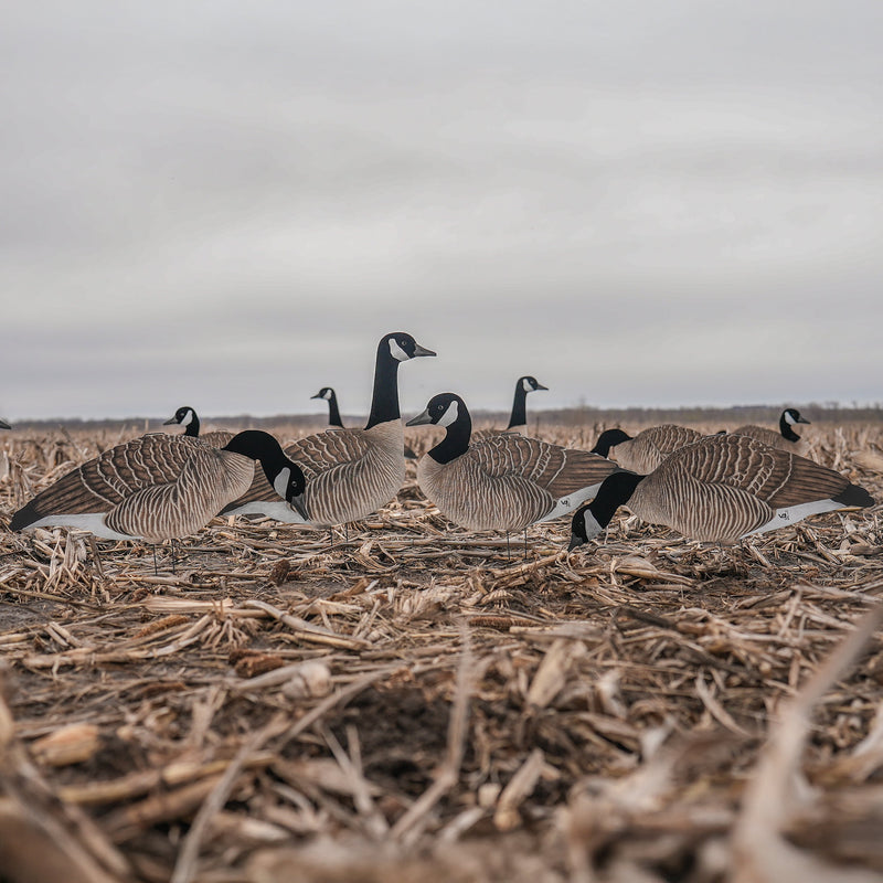 V3FF Fully Flocked Canada Silhouettes silhouettes