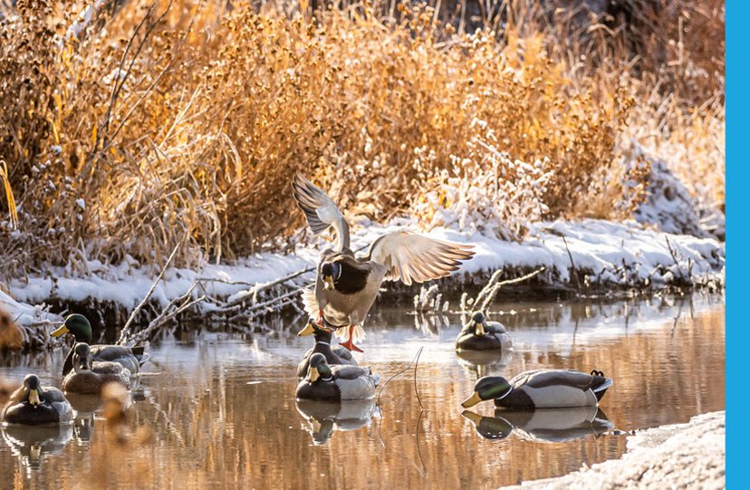 Duck Hunting Gear | Quality Equipment by Dive Bomb Industries