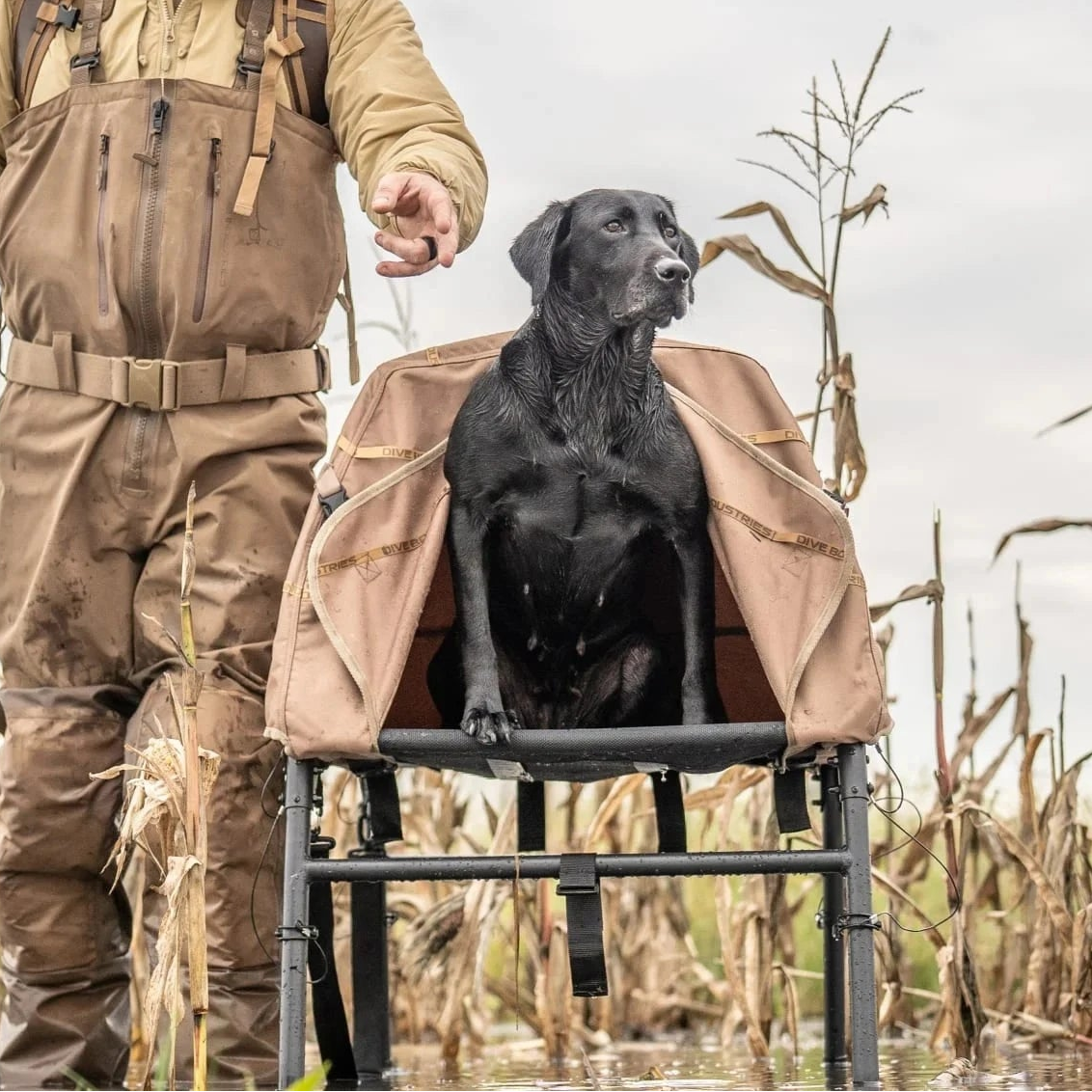 Elev8 Elevated Hunting Dog Blind