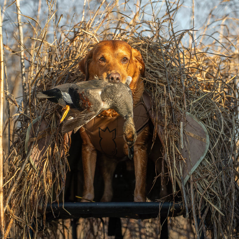 Elev8 Elevated Hunting Dog Blind