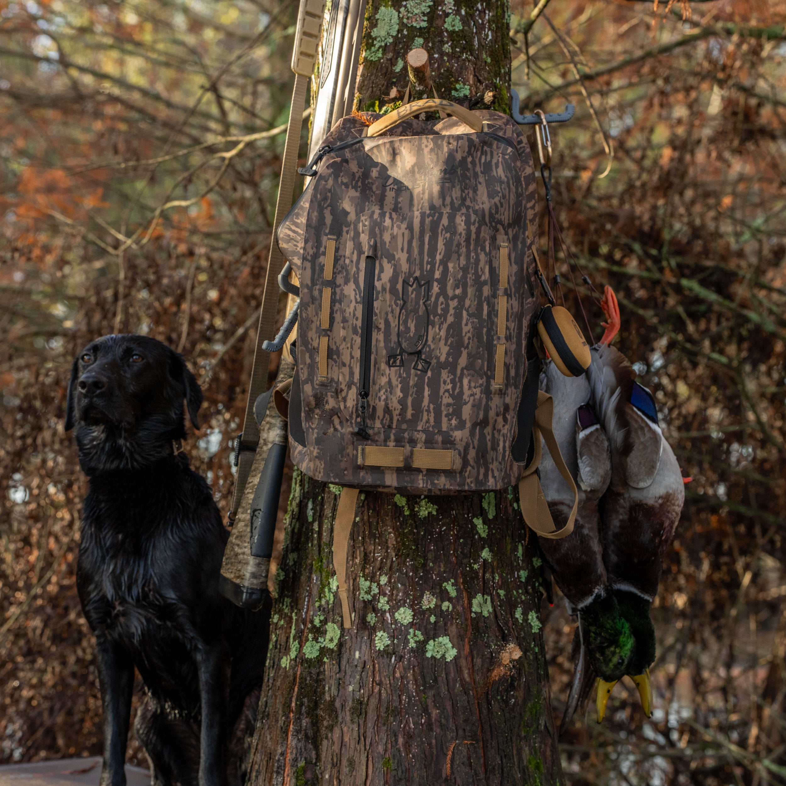 Waterproof Zip Backpack