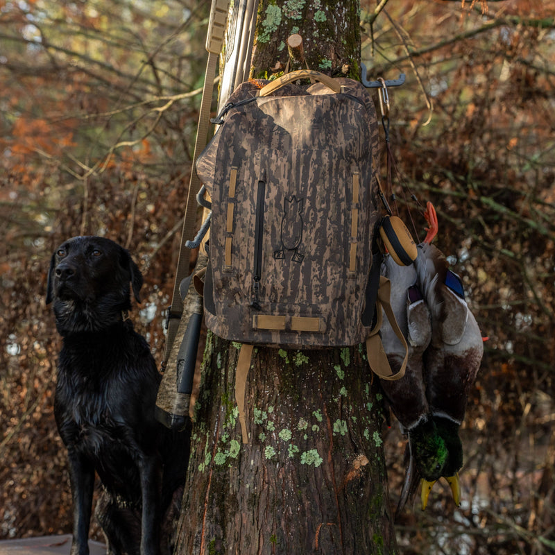 Waterproof Zip Backpack