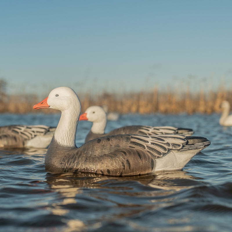 Blue Goose Floaters