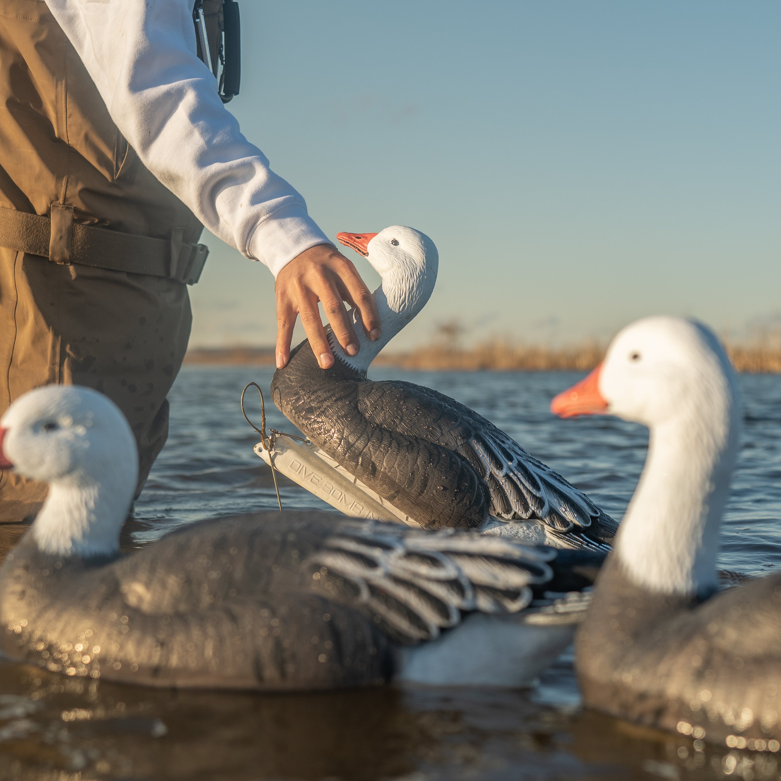 Blue Goose Floaters