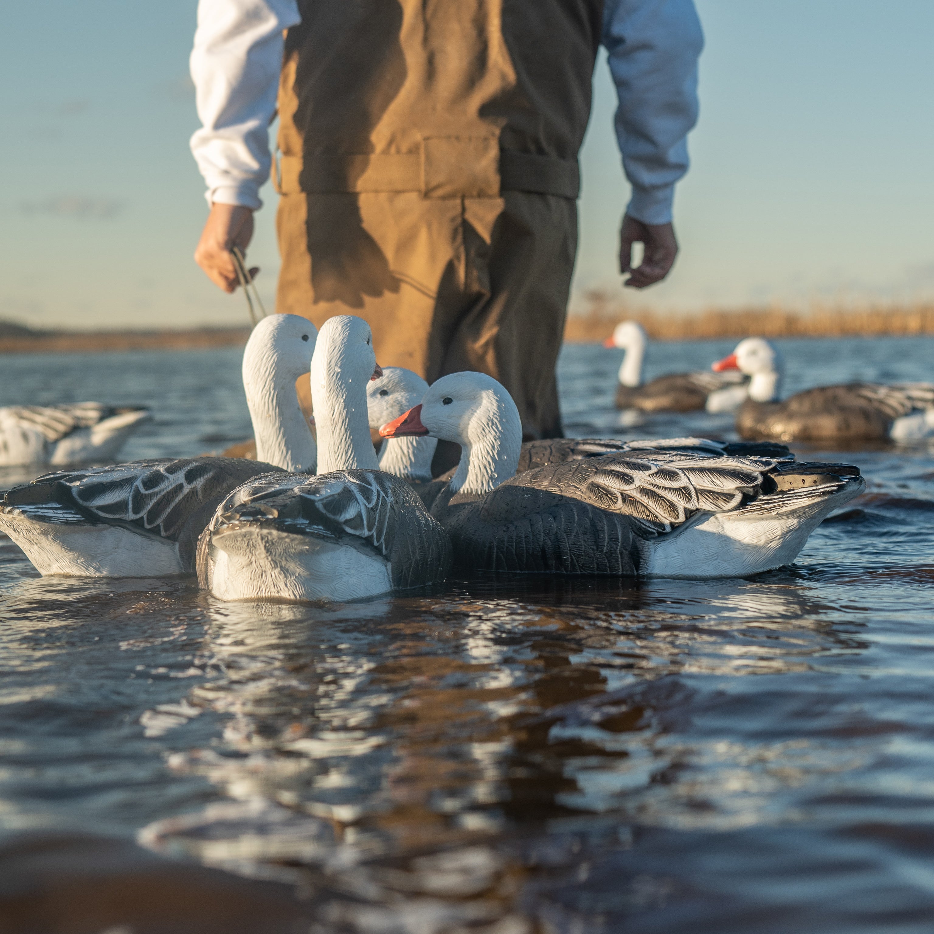 Blue Goose Floaters