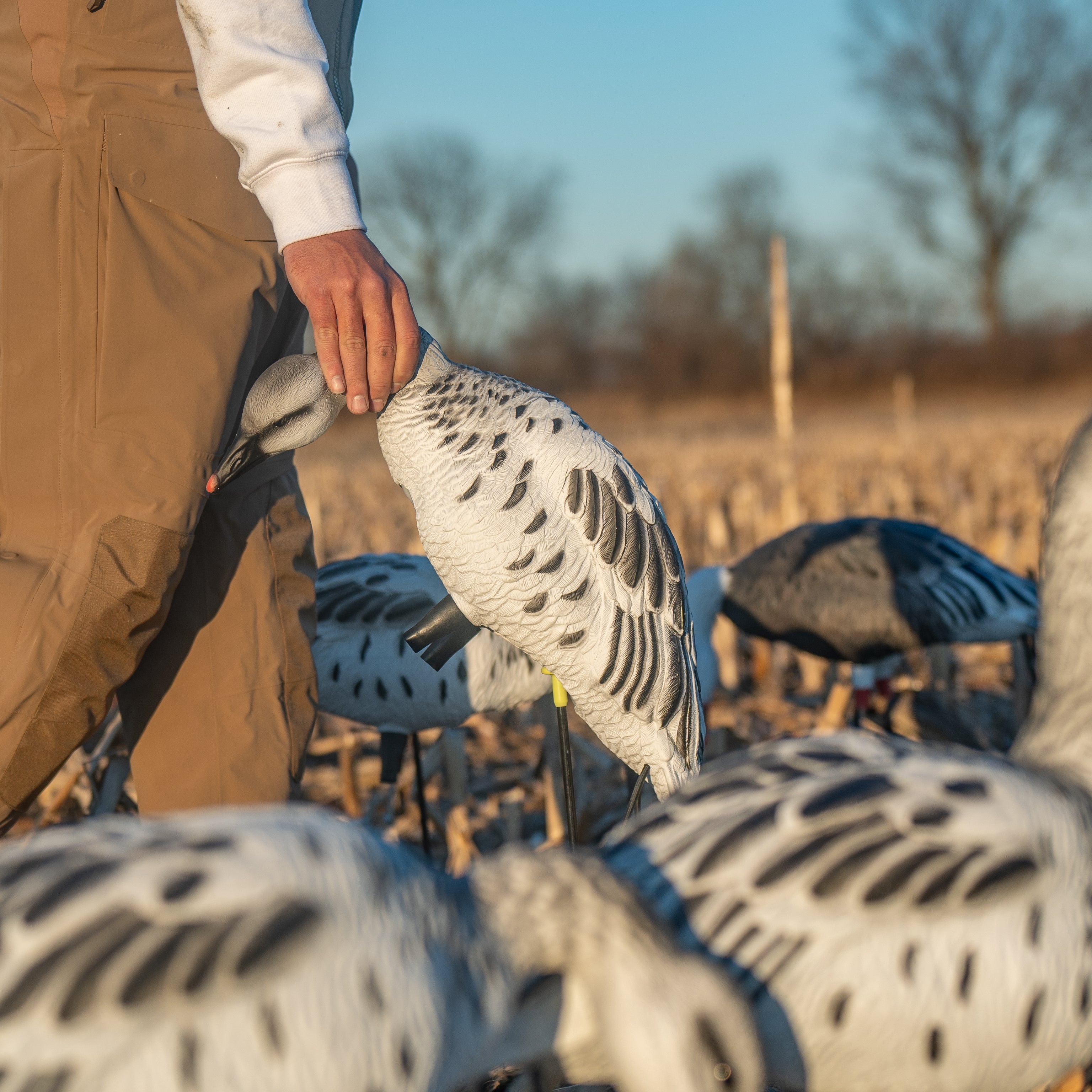 Juvie Goose Full Bodies