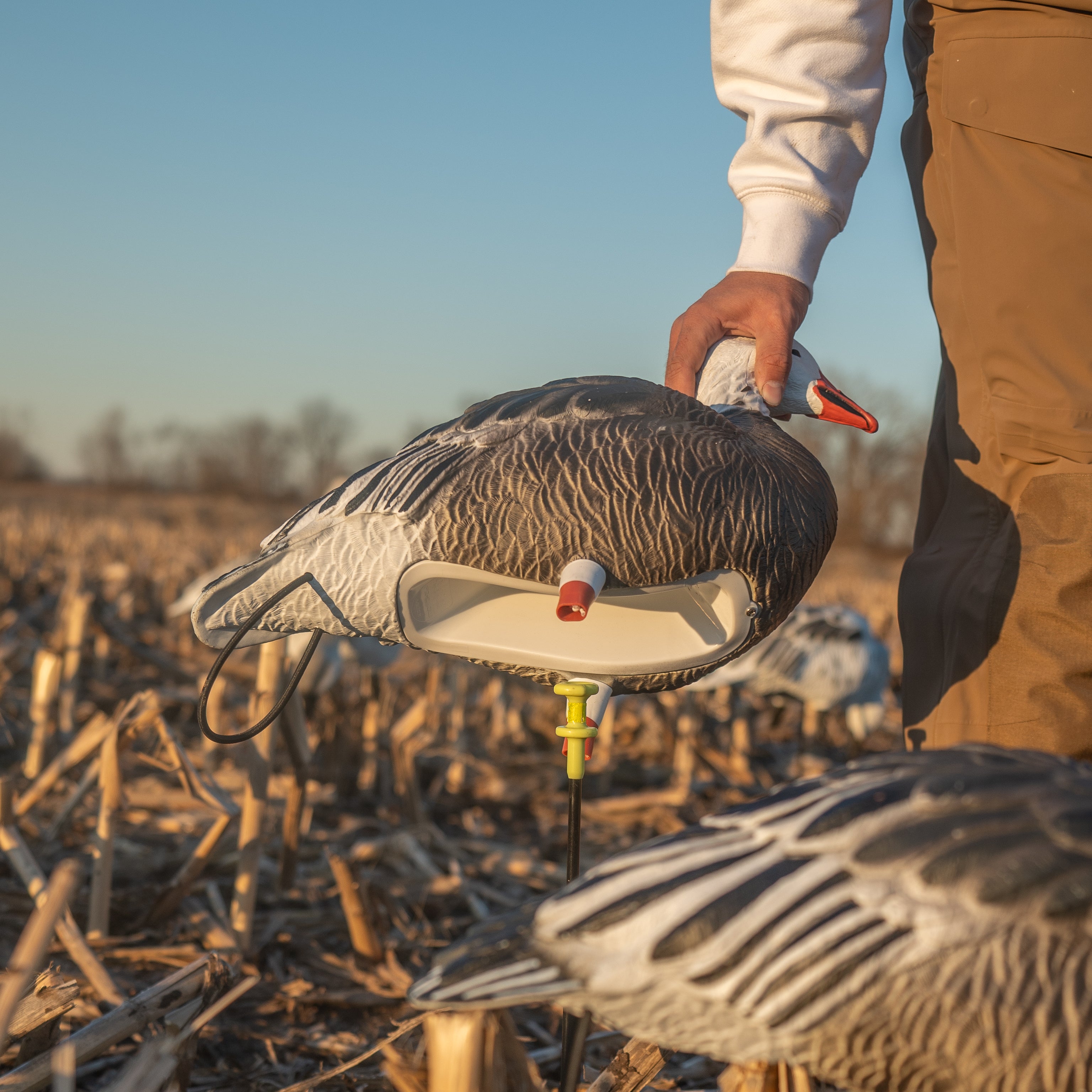 Blue Goose Full Bodies