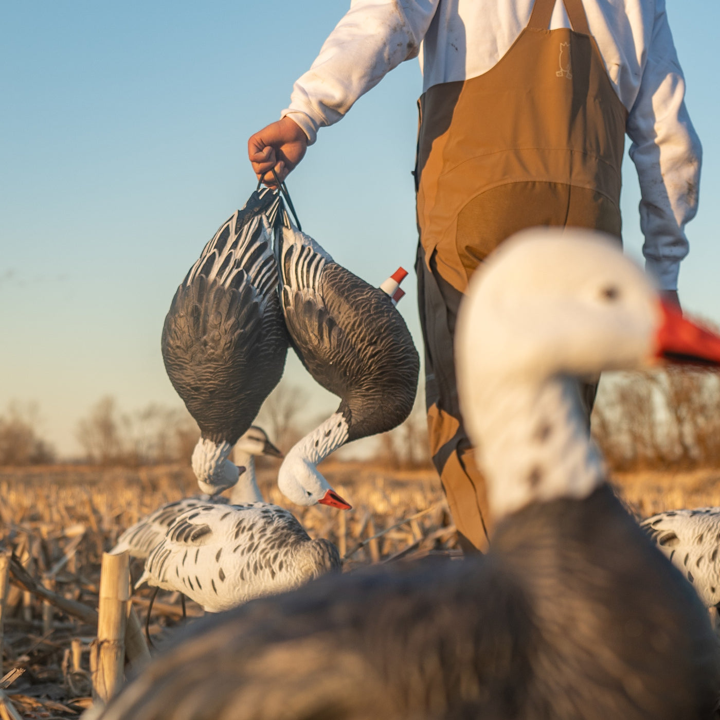 FB Blue Goose Full Bodies
