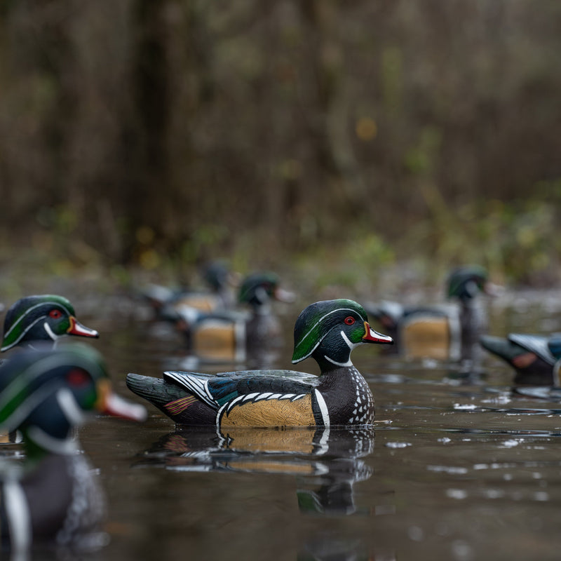Wood Duck Floaters Floaters