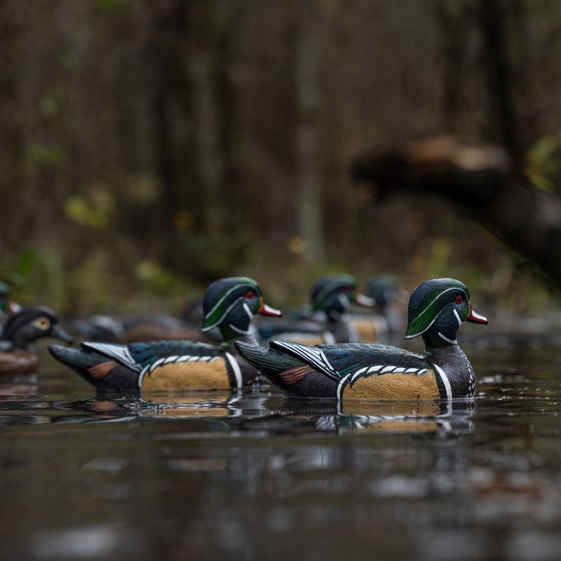 Wood Duck Floaters Floaters