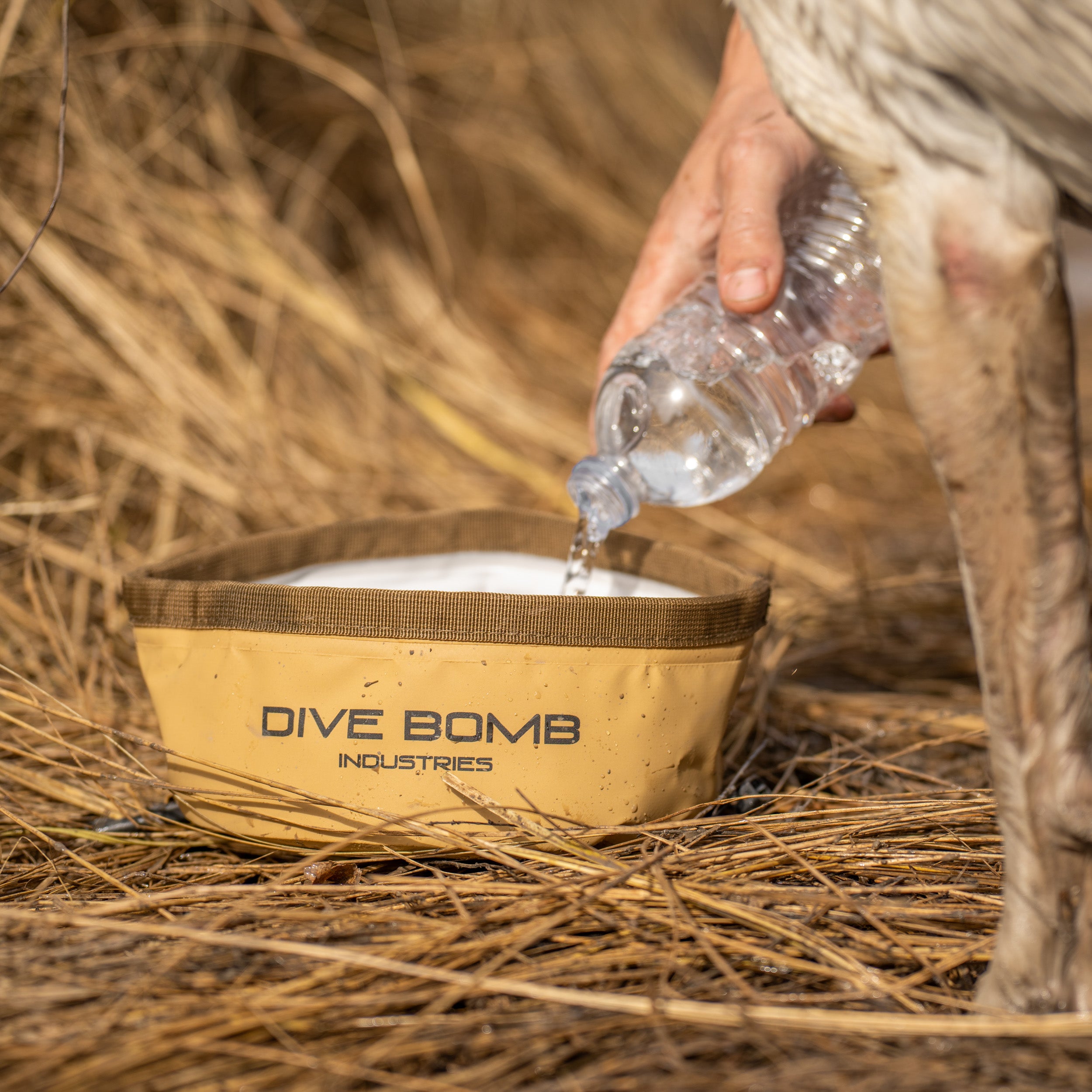 Collapsible Dog Bowl