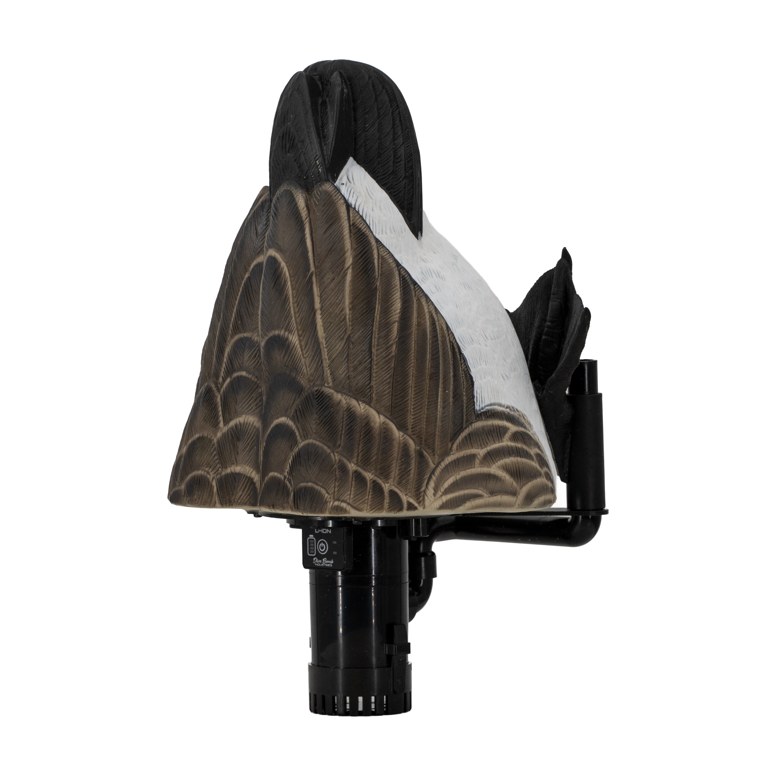 E1 Canada Goose Splasher