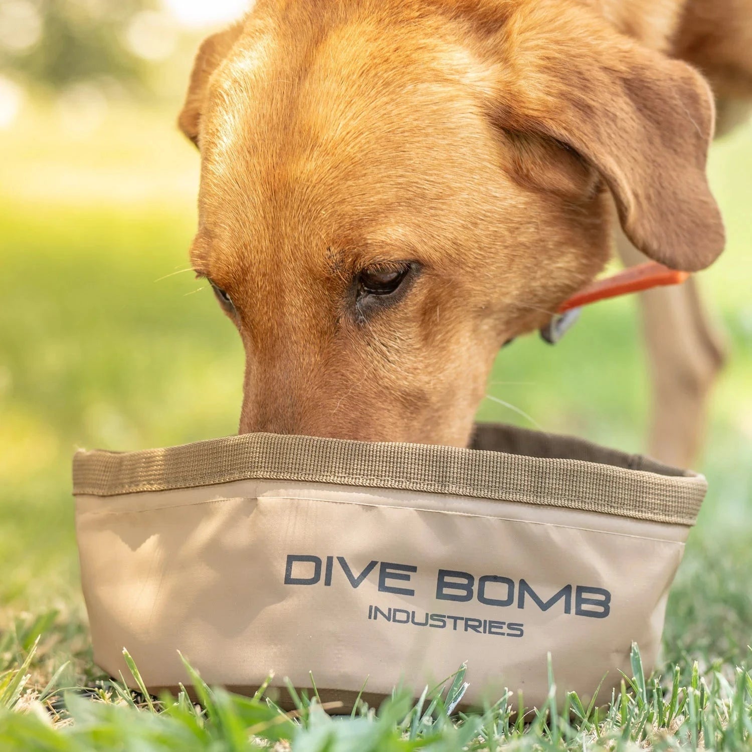 Collapsible Dog Bowl Otter Brown