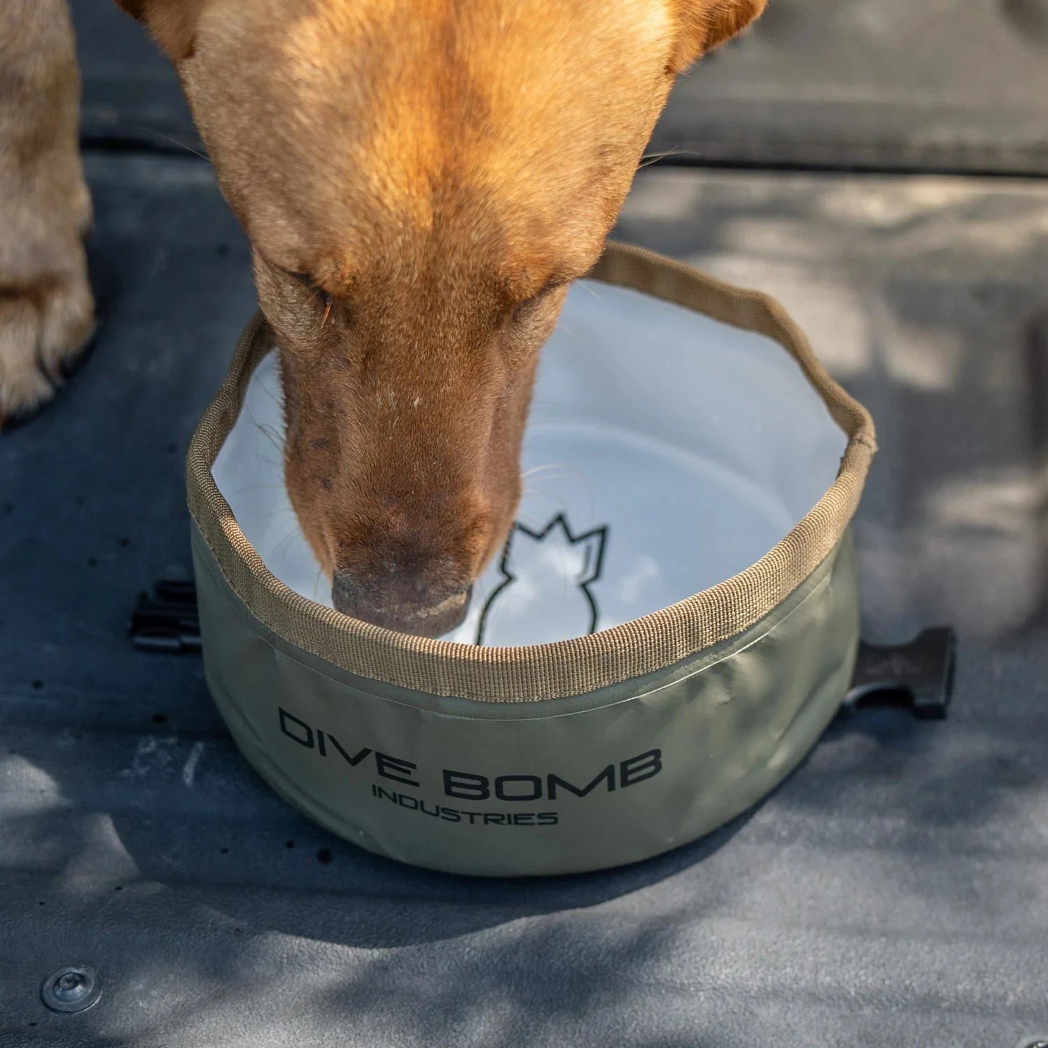 Collapsible Dog Bowl