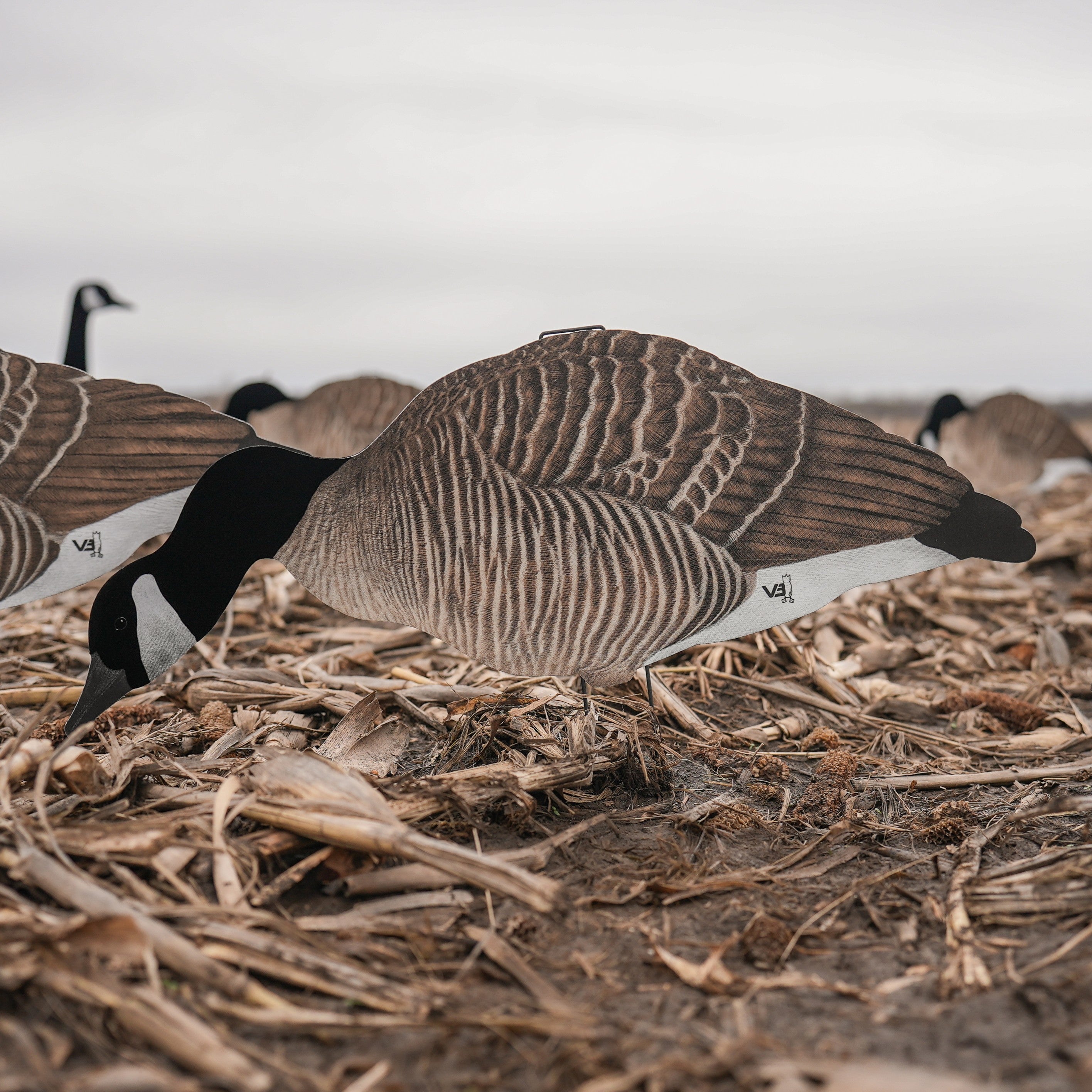 Master the Art of Goose Hunting with Dive Bomb Decoys