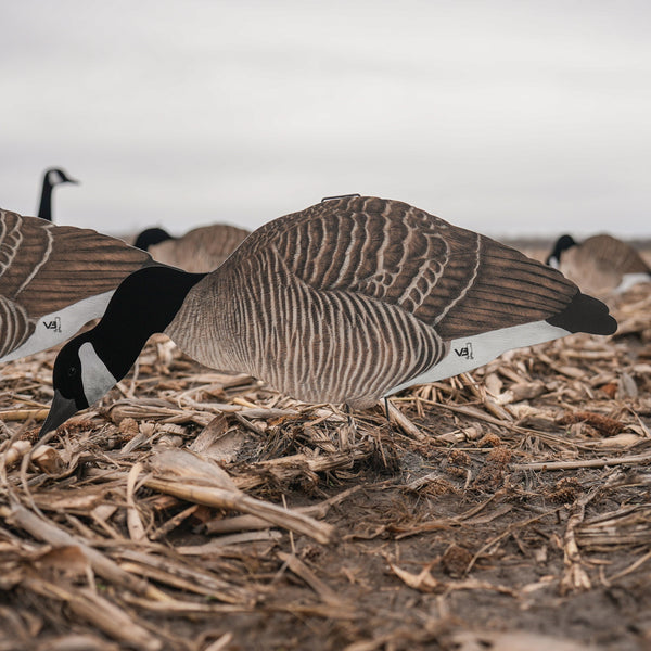 Tête Plombée Decoy SV 60 SW Head