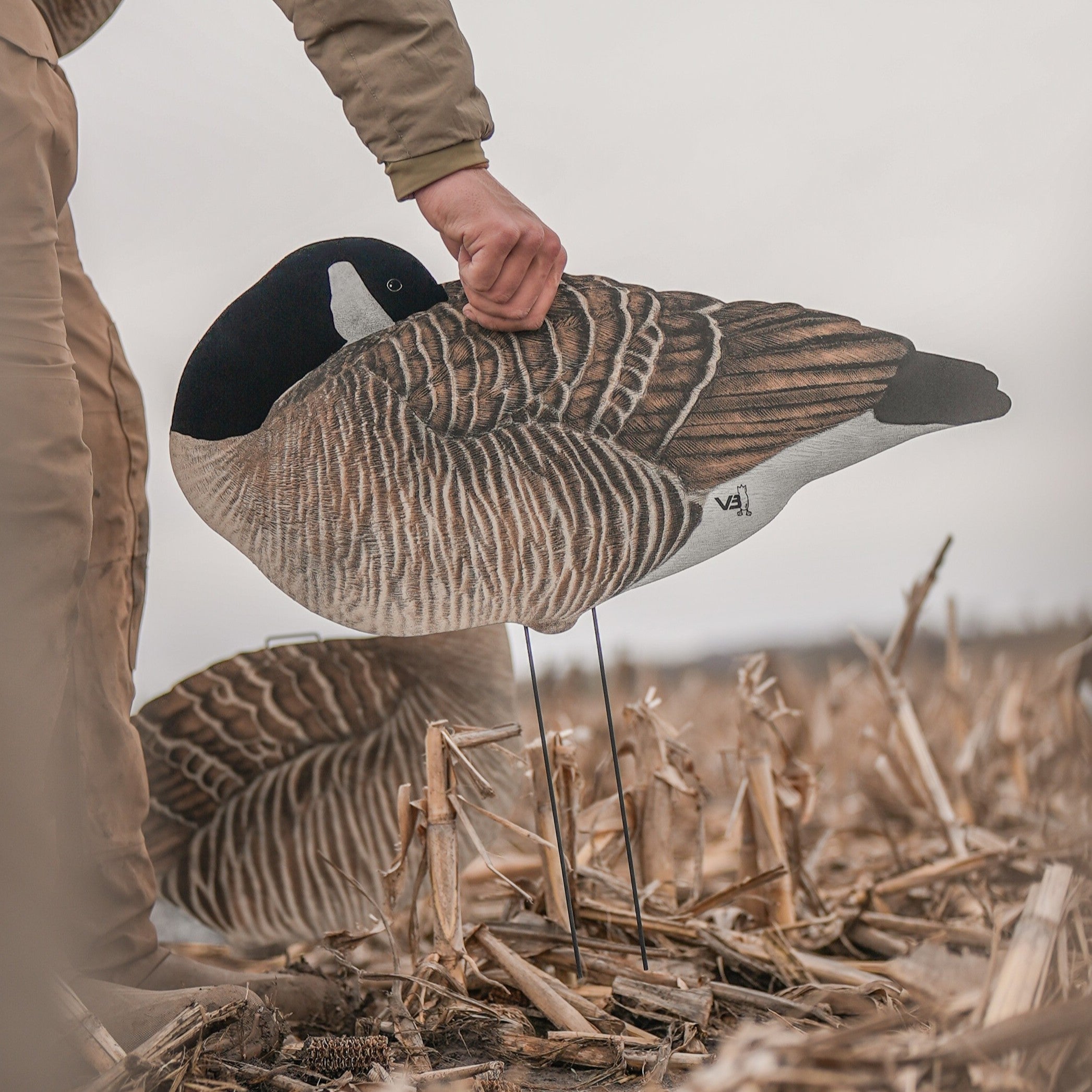 V3FF Fully Flocked Sleeper Canada Silhouettes silhouettes