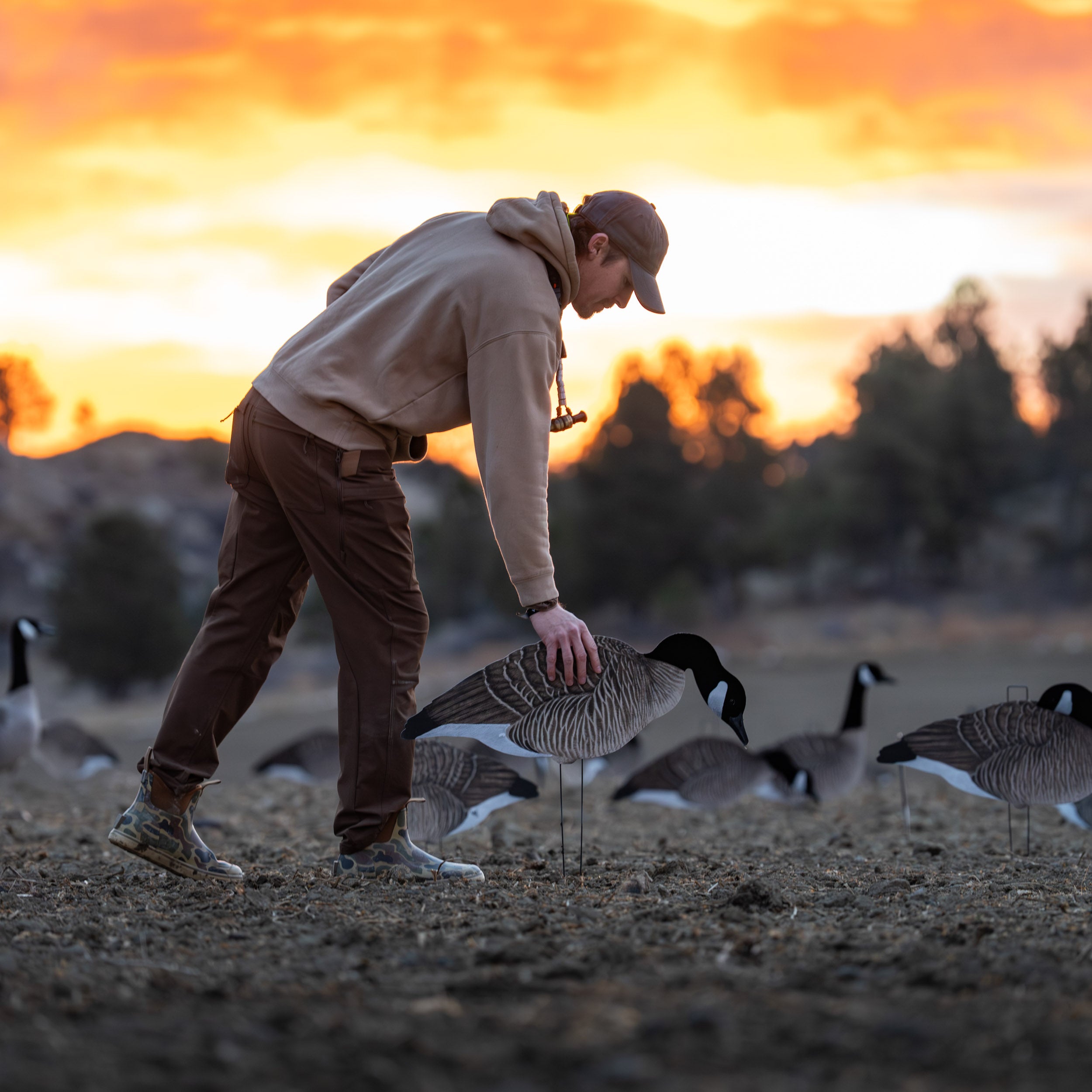 V3FF Fully Flocked Canada Silhouettes silhouettes