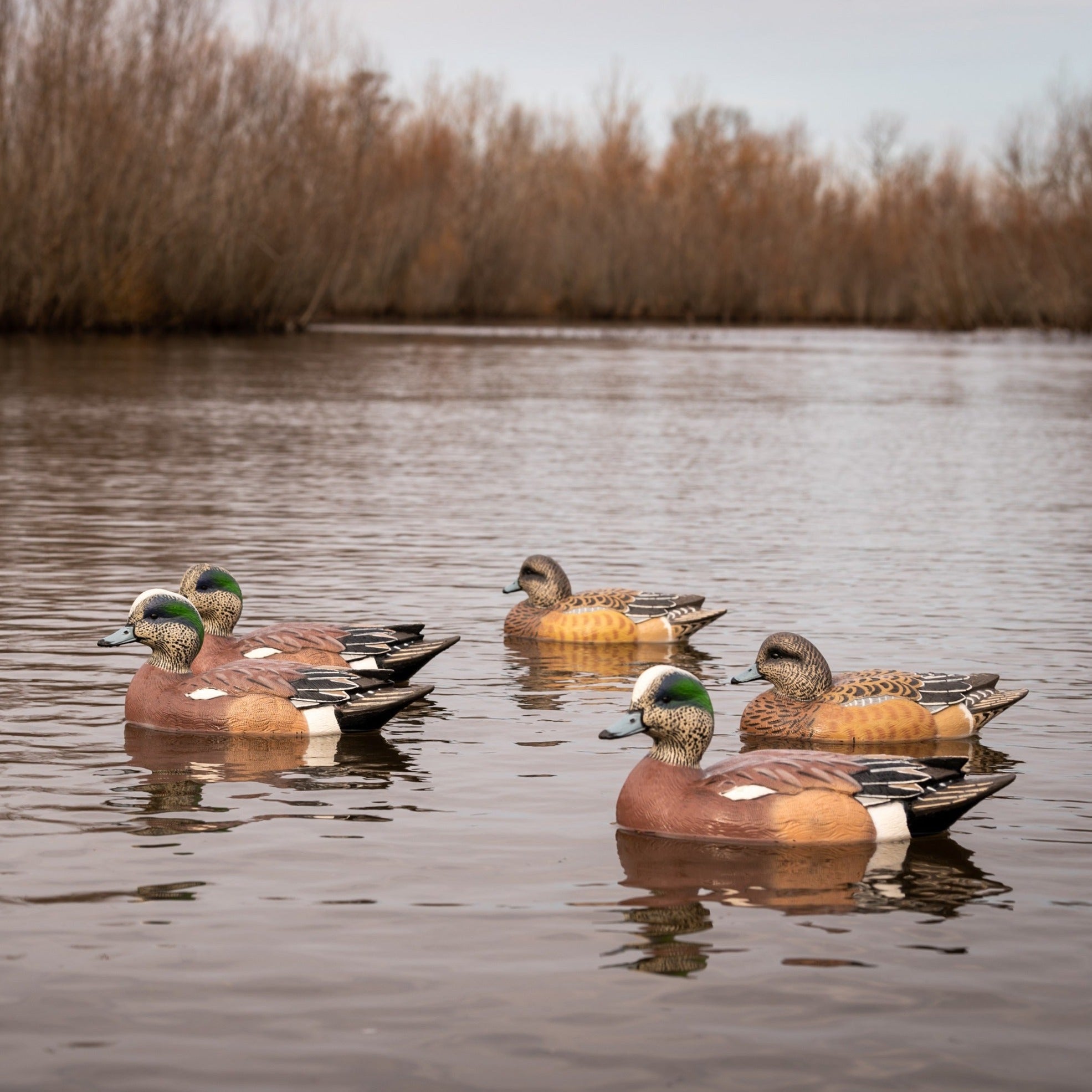 Wigeon Floaters Floaters 6 pack