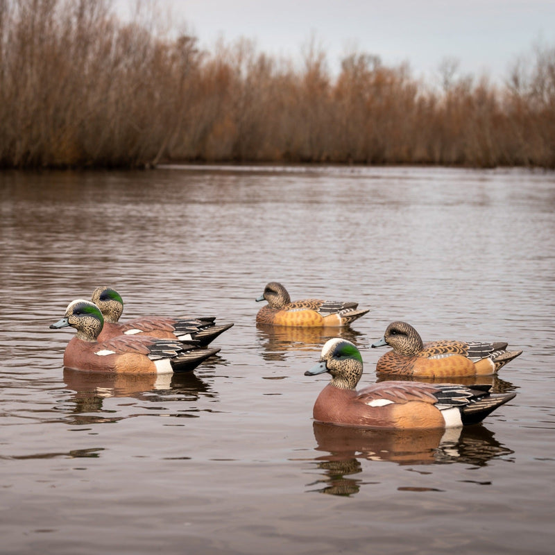 Wigeon Floaters Floaters 6 pack