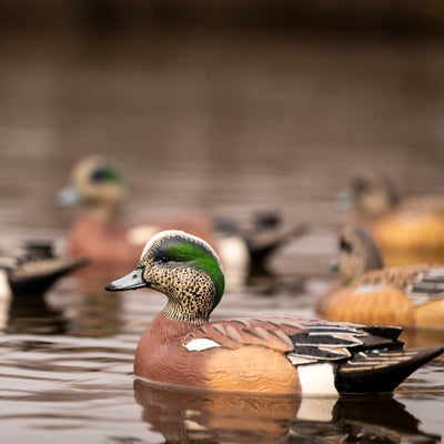 F1 Wigeon Floaters