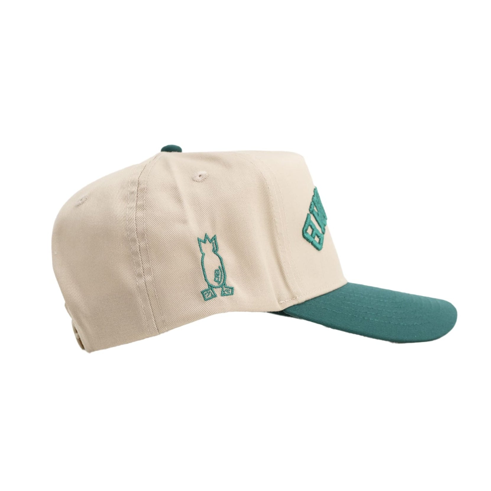 Reverse Snapback Hat