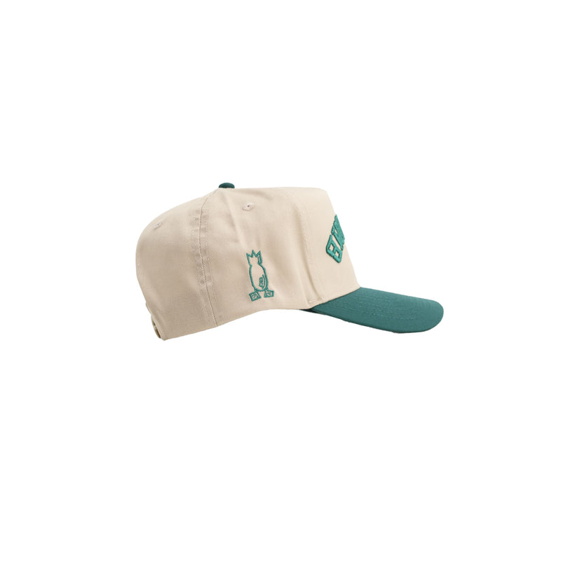 Reverse Snapback Hat