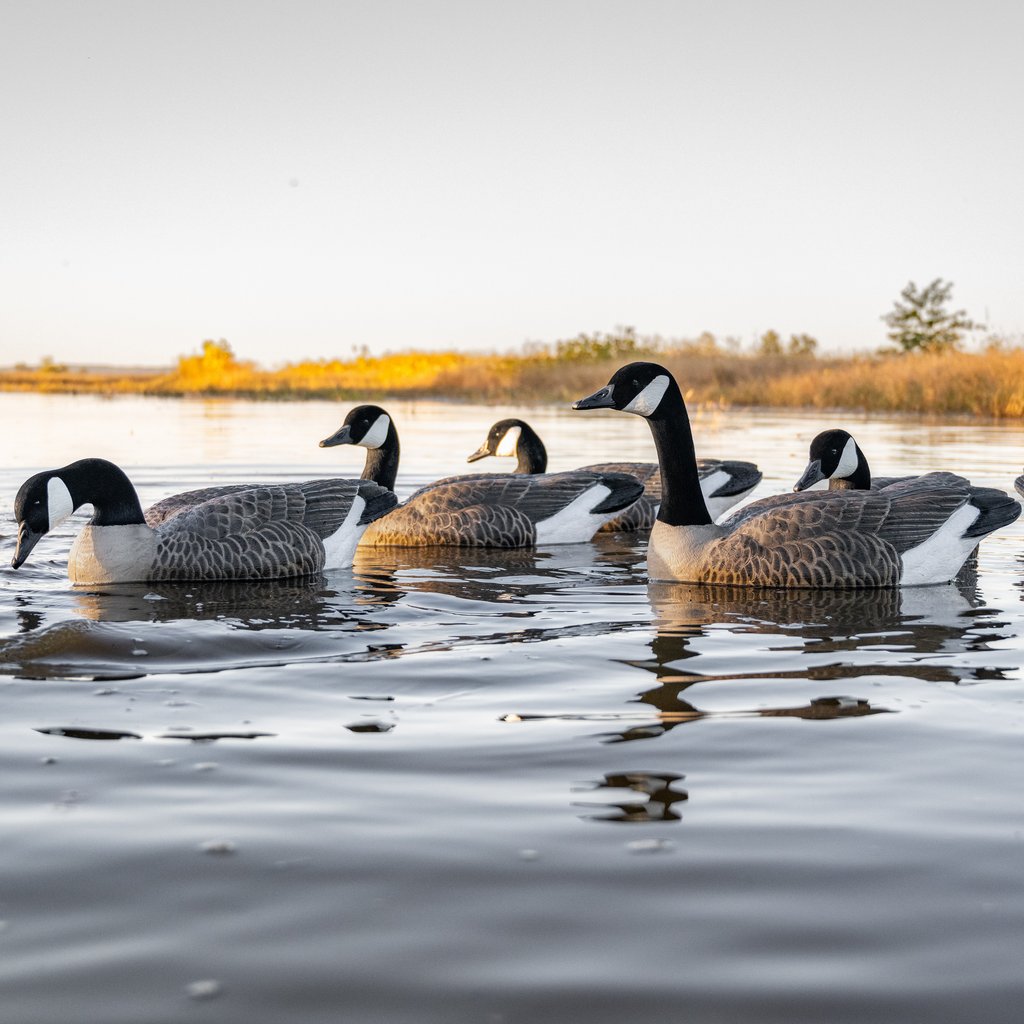 Canada goose 4 cheap in 1 kit