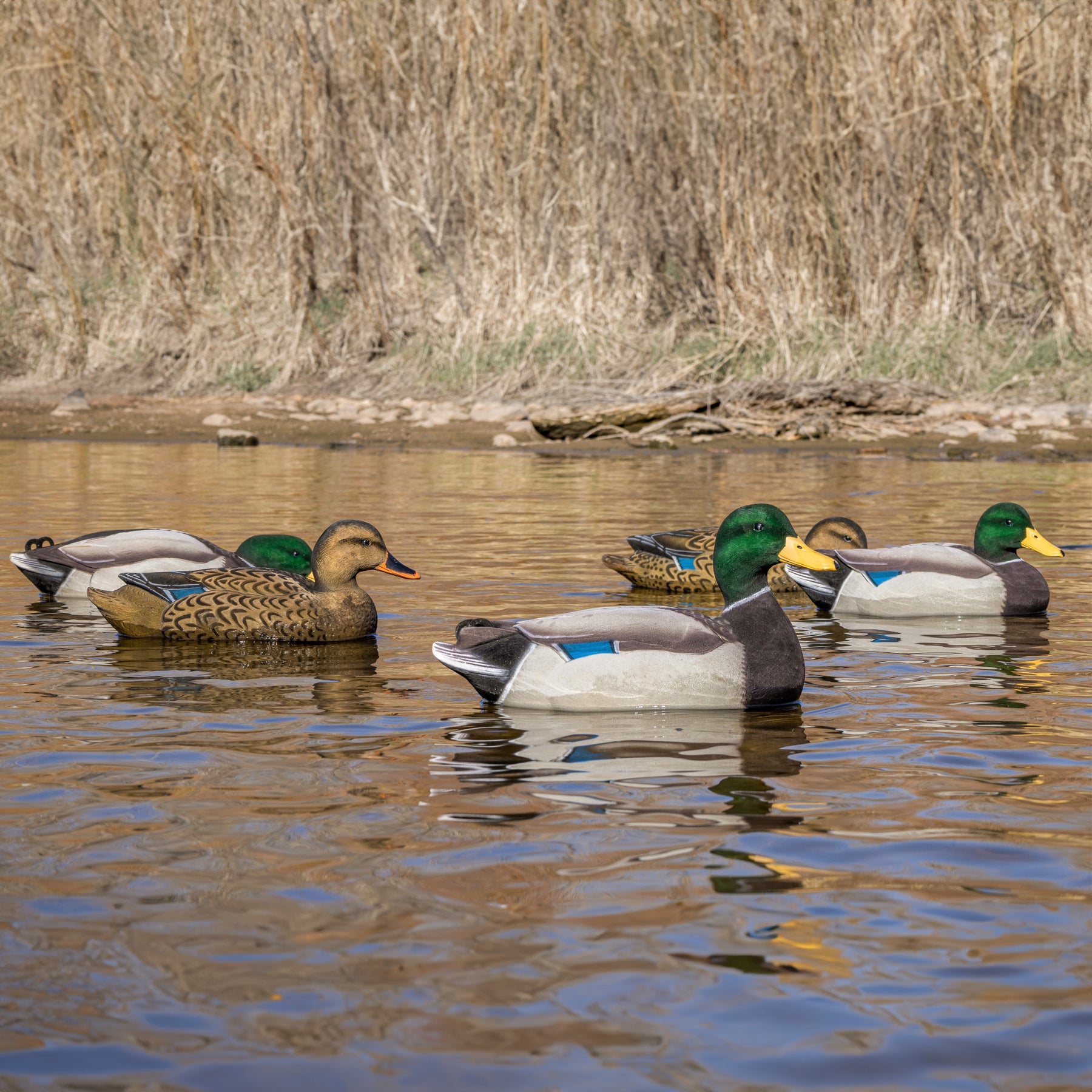 F1FF (Fully Flocked) Mallard Floaters - Decoys