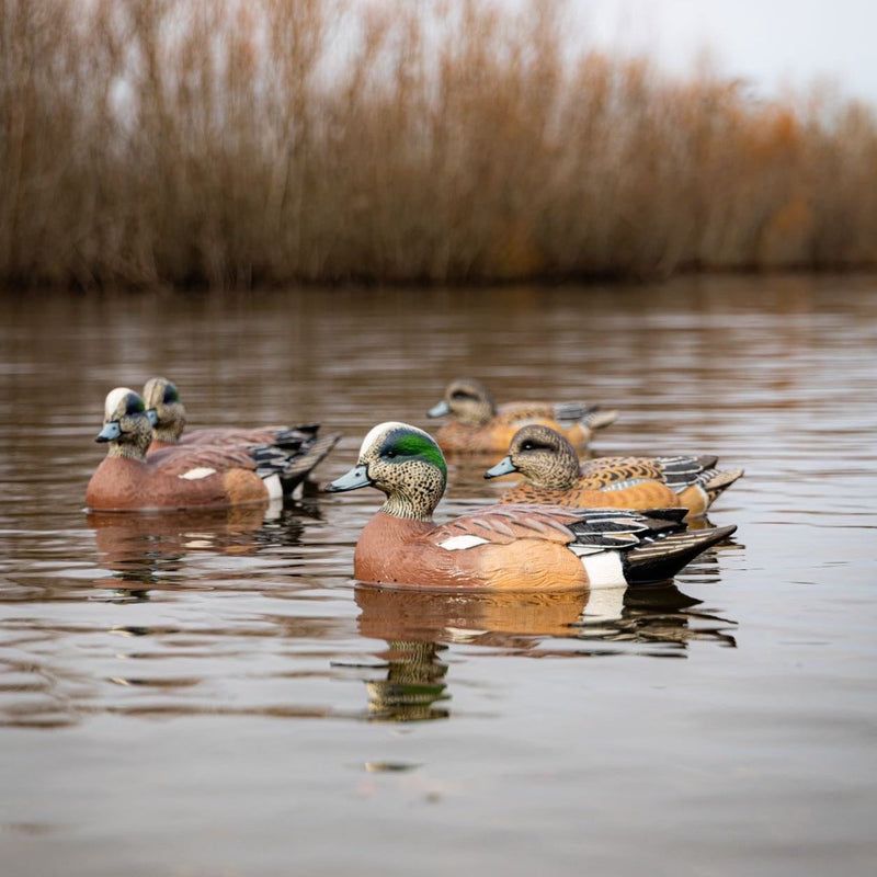 Wigeon Floaters Floaters