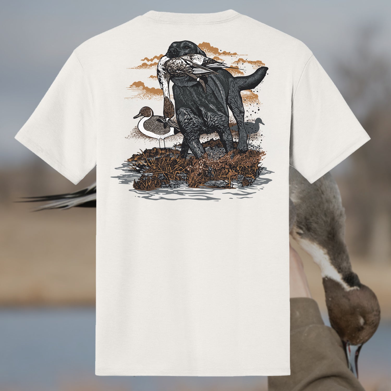 Dive Bomb Shirt of the Month Subscription