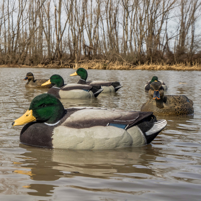 Decoys