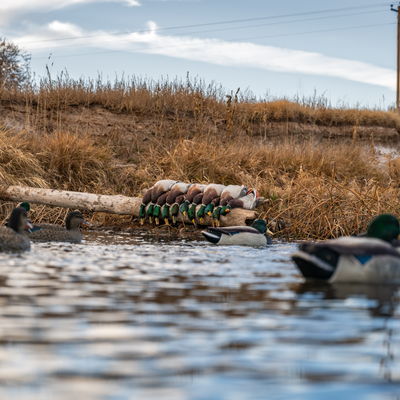 F1FF (Fully Flocked) Mallard Floaters