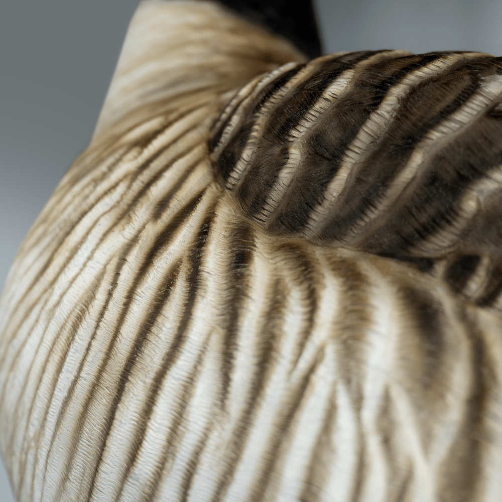 DB Canada Goose Full Bodies Geese Decoys Dive Bomb Industries