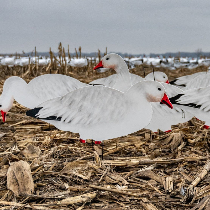 Fully Flocked Snow Goose Silhouettes 1 dz