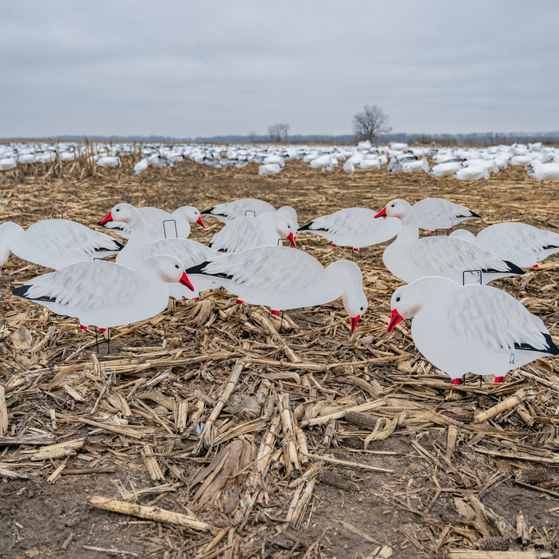 Fully Flocked Snow Goose Silhouettes 1 dz