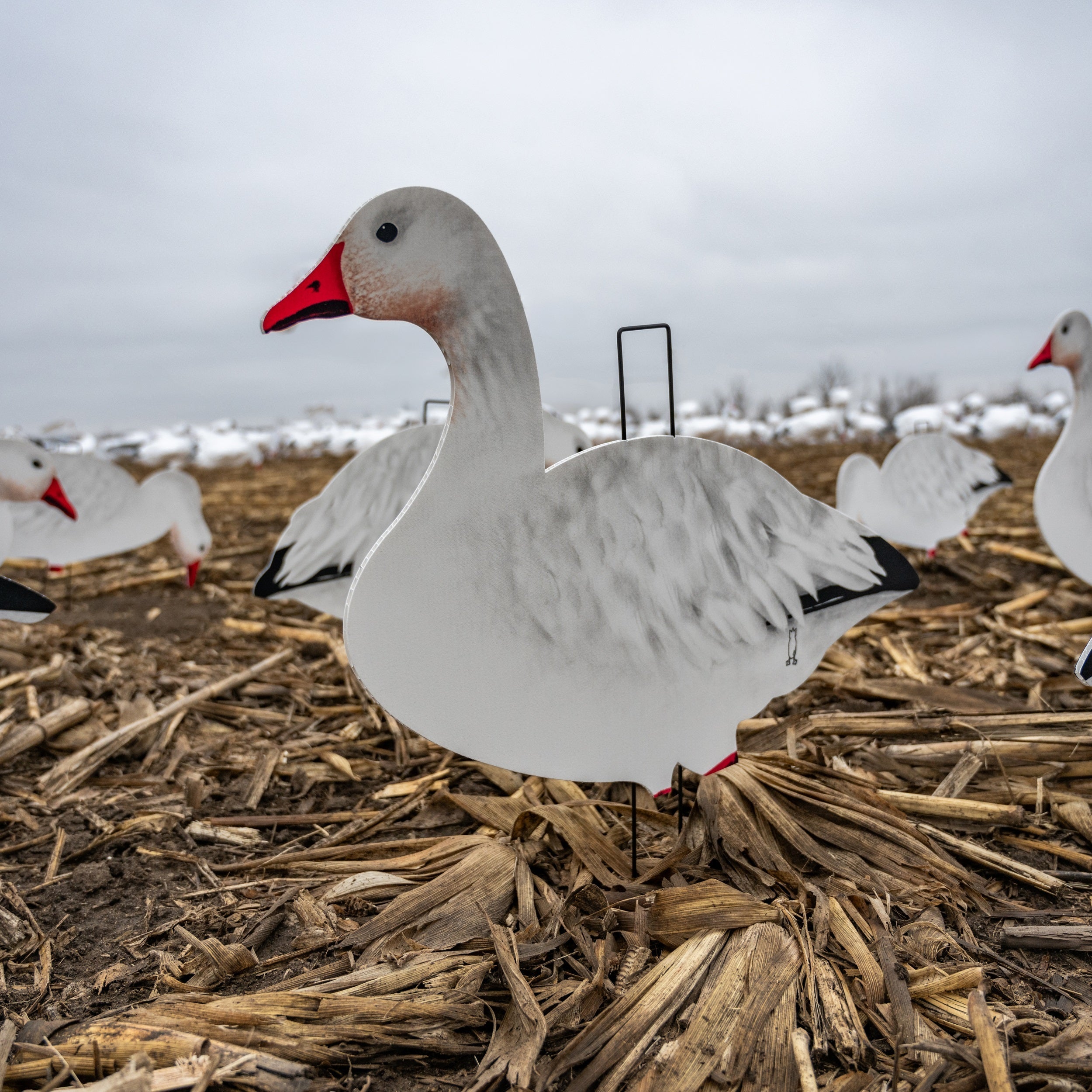 Fully Flocked Snow Goose Silhouettes silhouettes