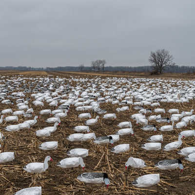 S3i Snow Goose Socks